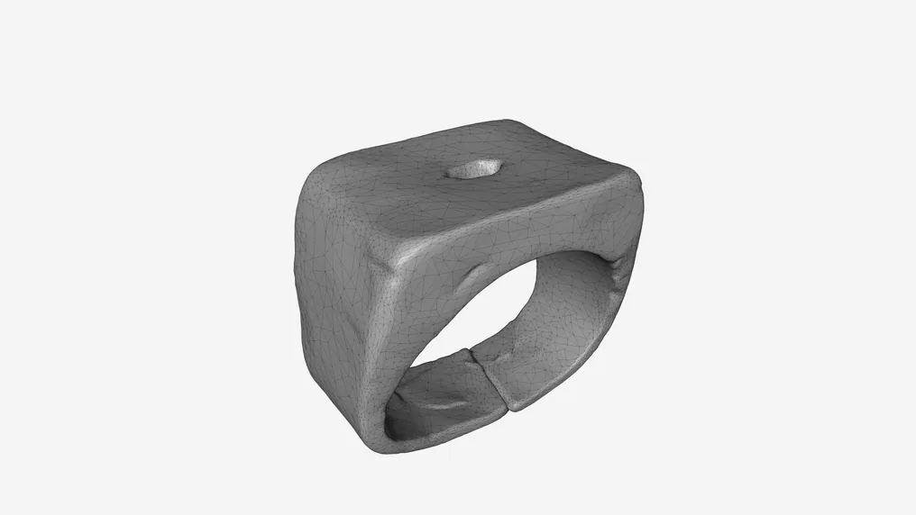 The 3D model of Schindler's Ring of Hope produced from the scan
